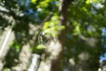 Soap bubble in the air with reflections. On blurred background