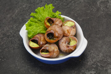 French cuisine - Escargot with sauce