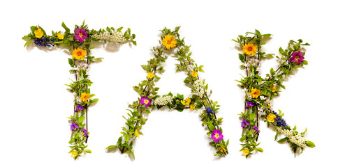 Flower, Branches And Blossom Letter Building Danish Word Tak Means Thank You. White Isolated Background