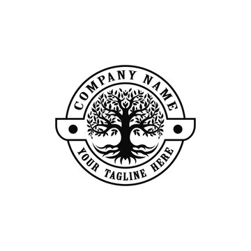 Tree of Life emblem, oak banyan logo design vector