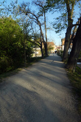 Fußweg im Bamberger Hain