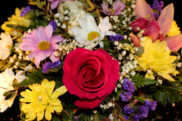 beautiful multicolored flowers on a black background