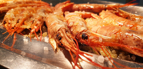 Langoustine with salt on a plate isolated. Panorama.