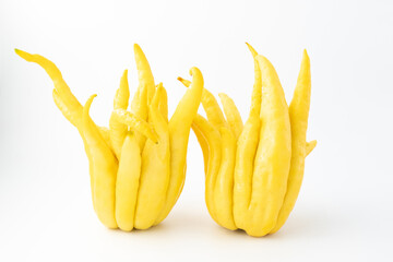 Buddha's hand fruit on white background