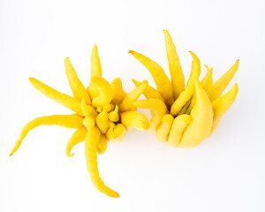 Buddha's hand fruit on white background