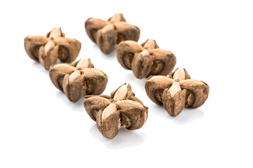 Nuts Incas , sacha inchi peanut seed an isolated on white background