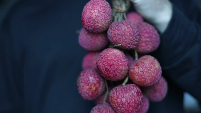 Concept of showing litchi someone, Close up of litchi. Fresh red litchi, Ripe Litchi on your hand ready to eat.