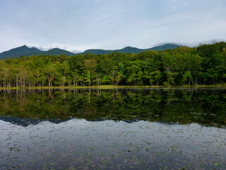 湖, 水, 風景, 反射, 自然, 空, 山, 映る, 森, 青, 緑, 木, 雲, 山, 景色