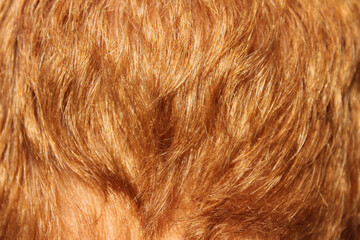 Cheveux roux