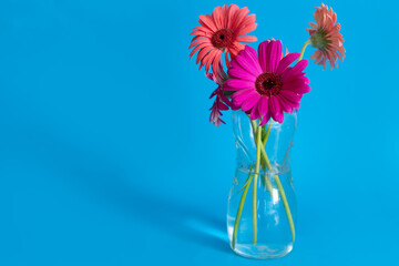 Two flowers, orange and pink in a glass vase on a blue background, pop art, minimal.