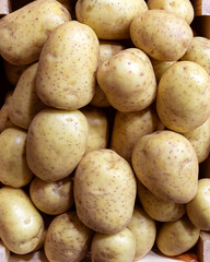 Fresh potatoes on a food market. Close up.
