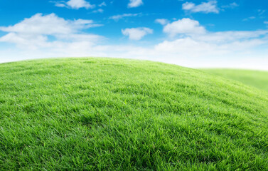 Obraz na płótnie Canvas Green grass with blue sky