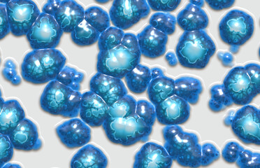  jelly bacteria organics