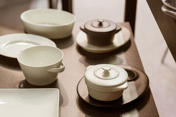 Porcelain tableware for food in Japanese style.