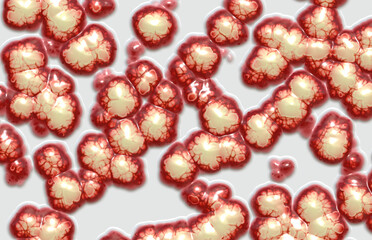  jelly bacteria organics