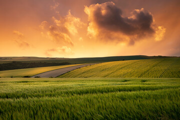 Beautiful lnadsape image of field of barley crop at sunset in English countryside with dramatic sky