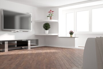 modern room with sofa,plaid,tv set,planta and cupboard interior design. 3D illustration