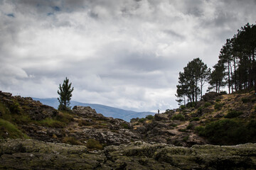 Rocky mountain landscape view