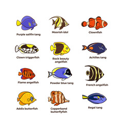 Cute fish vector illustration icons set. Tropical fish, sea fish,