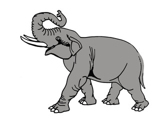 Fototapeta na wymiar Vector grey elephant isolated on white background, cartoon illustration