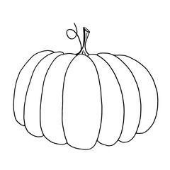 Vector pumpkin coloring book sheet. Black and white Halloween object. Hand-drawn monochrome sketch of an autumn element in doodle style.