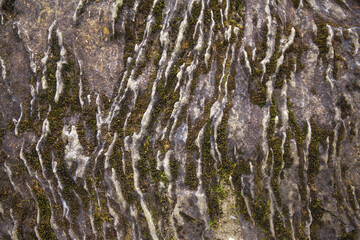Stone texture with moss