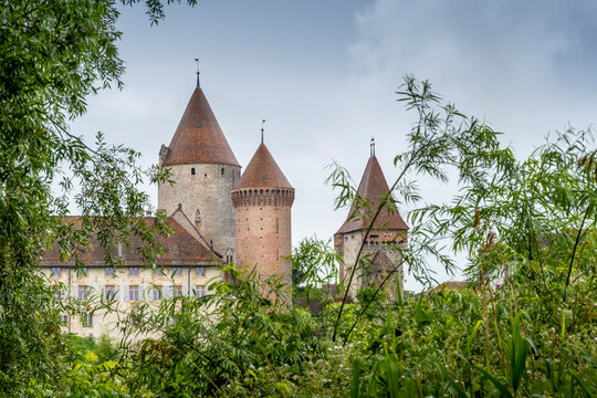 Tours du château d'Estavayer-le-Lac sur fond de ciel nuageux et branches d'arbre en premier plan