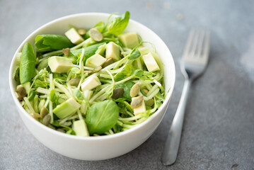 micro salad, cucumber and avocado vegetable salad