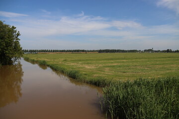 Meadows, ditches and weed flowers of the lowest polder of Europe named Zuidplaspolder in the Netherlands.