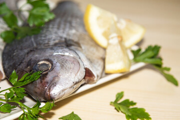 fresh bream or sea bream on the plate with parsley and lemon