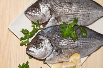 fresh bream or sea bream on the plate with parsley