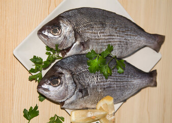fresh bream or sea bream on the plate with parsley