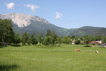 Prawie 2050 mndpm © Bogdan B