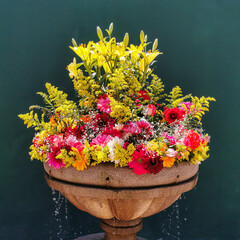 Fototapete bei efototapeten.de bestellen   