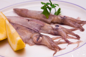 squid or fresh cuttlefish with parsley and lemon