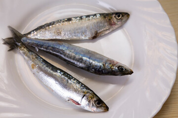 plate of fresh sardines on the plate