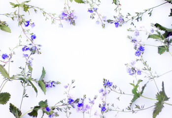 Top view background with blue flowers frame. Flowers composition. Mockup card with copyspace. Mockup with postcard and flowers on white background. Focus on flowers