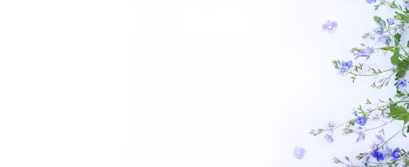 Top view background with blue flowers frame. Flowers composition. Mockup card with copyspace. Mockup with postcard and flowers on white background. Focus on flowers