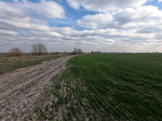 Fototapeta na wymiar Dirt road in a spring field. Landscape.