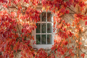 Abschied vom Sommer: altes, weisses Sprossenfenster einer Villa, umrahmt von herbstlich rot...