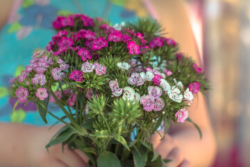 girl holding a bouquet of flowers