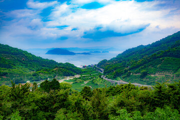 山から見下ろす和歌山県由良町の風景