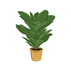 Plant in pot4