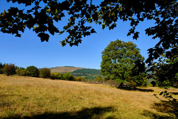 Obraz premium Der Arnsberg im Biosphärenreservat Rhön, Unterfranken, Franken, Bayern, Deutschland