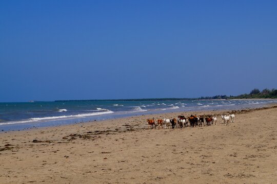 Goat beach walk