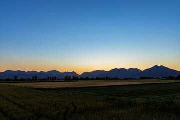 Obraz premium Scenic View Of Field Against Clear Sky, In Alps.