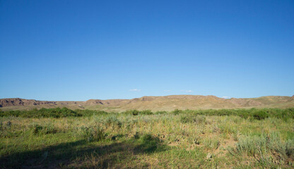 Fototapeta na wymiar Landscape in the steppe, Prairie. Landscape in the river valley, mountains.