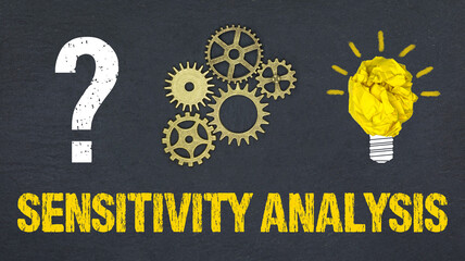 Sensitivity Analysis