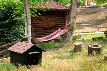 dog house in the woods and hammock