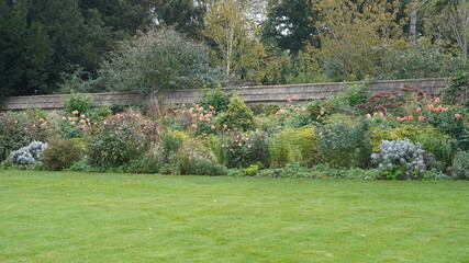 garden lawn and flowers